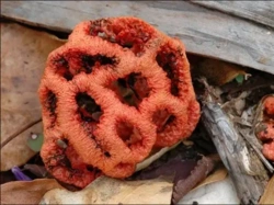 d7f94e89-0b13-461a-96b3-19737cdd8110