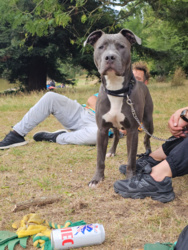 dd5b3412-bc63-4715-93c5-40ba716b55a9