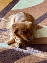 7c622f9c-31fd-40d2-93f4-1c258f912c8b