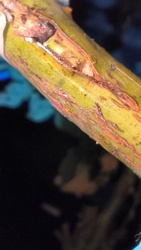 870d9480-5479-48a7-b962-a13a62739c9d