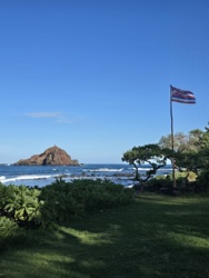 3402f805-3a80-493f-8876-1bd127f8ecd4