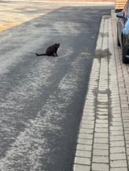 690b3061-4e37-4939-b395-688888c5a791