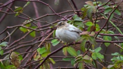 4683133c-c126-43e6-9df9-365c334b08af