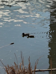 4a5f16d1-c88d-4c26-9ec8-c90d80be9c52