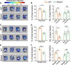99eb843e-5c43-4dac-ba04-6cd6dc622076