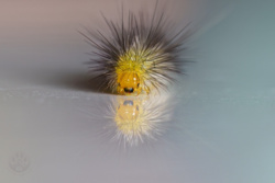 d00f72f8-3ea8-477e-9e6c-5af7d8ae6548