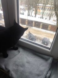 de2b2a1b-da42-42c7-97da-a2caa571f5d8