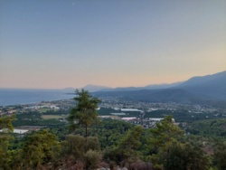 ad17888b-d9de-4977-b438-dfbb7fd7c60a