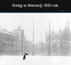 2389cf0a-3ec9-4719-812a-ce1b6a83ba6d