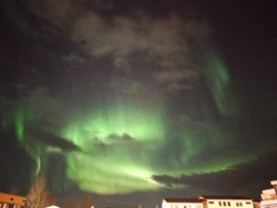 26df29d1-68b2-45f1-808b-29d23343718d