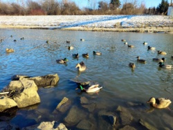 4d062880-2aa4-40c7-b5cc-11e2e2e00700