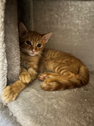 16b2c524-f6d2-4e92-b248-b99ff4866223