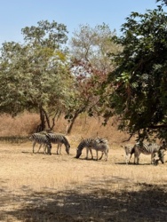 14eaabc7-a82f-48fa-97df-2c47138773c3