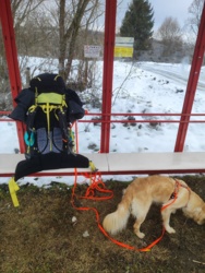 2b1e9275-a49a-44d0-a187-9bf49a7ed43b