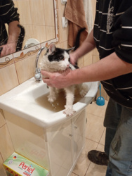 0e0e0bf5-2653-4efa-8061-2ce8b0b6443e