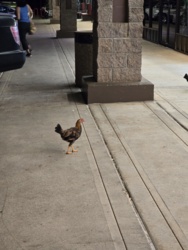 be93b3c3-1e7f-4030-b228-6c3330d6cfa8