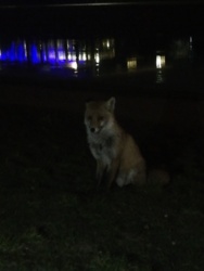 af8e376c-1aea-4d11-97c9-c9c436b3ac57