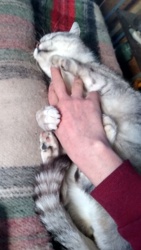 5a8f9f3b-31a4-4e45-ab21-404b14c53b9c