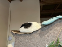 e0bb0f79-cd5a-4227-a7cc-a25444409fbf