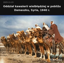 c89e216f-d78b-4c54-b180-5d1ef94c8dce