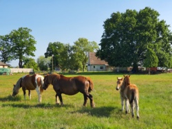 7e7408b1-6adb-4cee-92ab-94a512e1887c