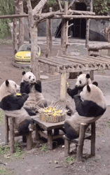 ea1c2509-8a5e-49ad-a047-380dfe416779