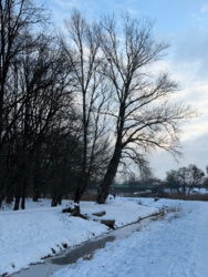 7be7879a-c28c-402f-8f4b-795141b62b2d