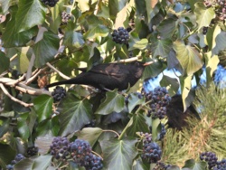 b295ccb5-a9d5-4b5c-87ca-2d15ce703d93