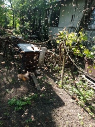 82f98697-15c6-46d8-917b-f649c56f10ed