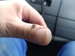 cccfe8fa-4859-406d-b10f-32075b9754d9