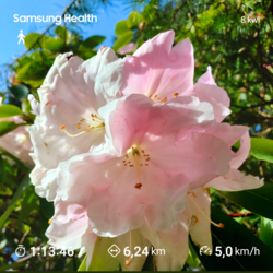 d4fce927-6175-4424-b489-3038119b8907