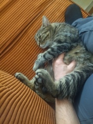 85bb1b42-1685-4298-a507-7f6a69bda659