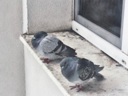 959815f2-120f-405c-ad5a-8876ded8992d