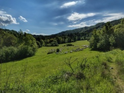 970f9d41-8b52-443e-b625-9cc2b5f9a677