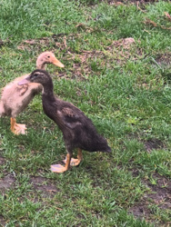 9cae8fe1-f93c-4de4-81e0-3d7ad3f93ed5