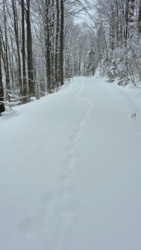 548ec32e-642a-4ed5-a0ca-cae4b3baf60c