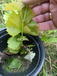 700f62e3-9dc2-4500-b03f-9b5085db0d73