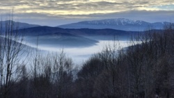 41fd908e-c61c-43f4-9ec9-46ec37699d14