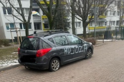 9e193010-2966-461a-a97b-922d10d90859