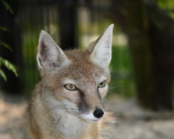 917836ba-07e7-4b1c-bbb1-364fd9ee47da