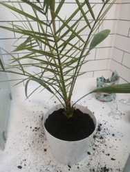 c92ed502-46e7-486f-8f87-effd5c5d08a3