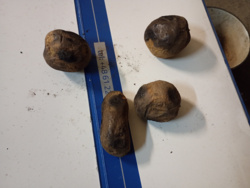 46a5f2e9-0f76-46af-bf79-5940c27696ae