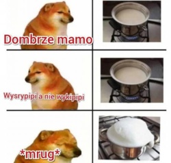 ef289a95-10d9-48fe-934a-f545a7a6e947