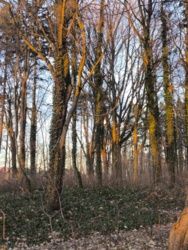 a95a6f96-ea3e-4a36-be5c-4d562aff3631