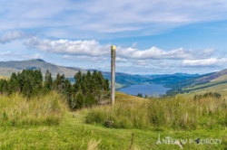 11b29741-6200-4104-8d6d-63d346e68e86