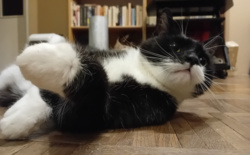 08ca9bd0-e963-4492-b466-f41bfa0a8b2e