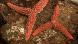 00e5e63e-3e43-4c7a-b061-529974e48e9c