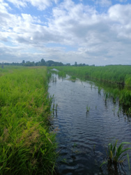 ea103a2e-3eb0-4f62-8df8-50fe23d1f8f6