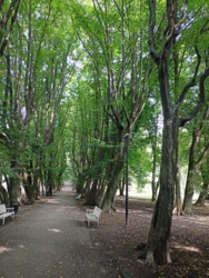 e7cdc649-e531-4ece-a2e2-0ca1d3e5d307