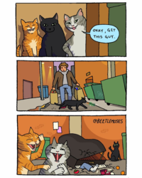 38c5e462-880d-4526-a40d-f4424686b912